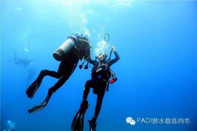 蓝色怪物救援